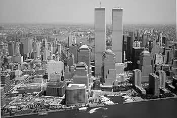 Amazon.com: Original WTC Twin Towers New York City Skyline